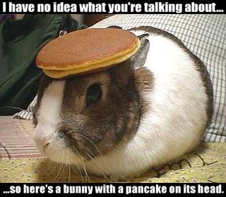 Bunny With A Pancake On It's HEad